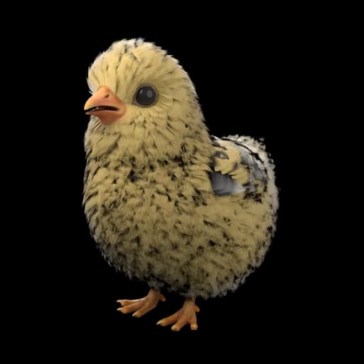 Chick — ลูกเจี๊ยบ