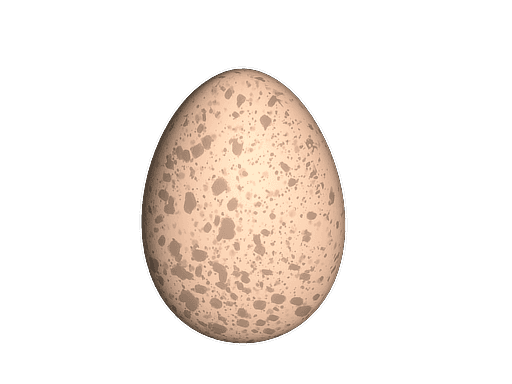 Chicken Egg — ไข่ไก่ CS2
