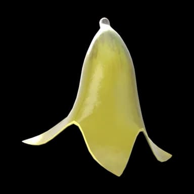 Banana — กล้วย