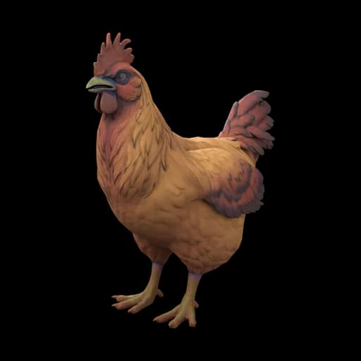 Pet Chicken | Catalana (Dark Orange) — ไก่คาตาลานาสีส้มเข้ม