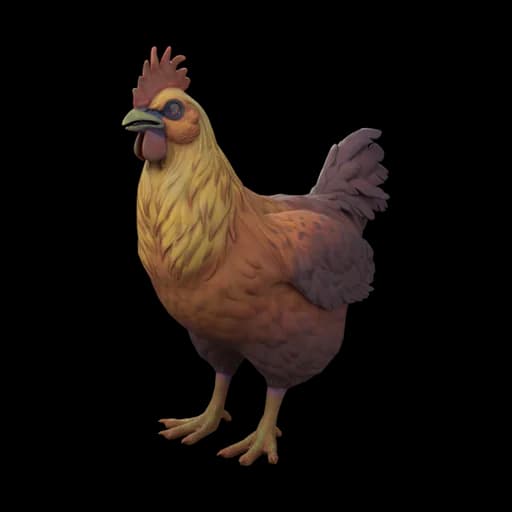 Pet Chicken | Catalana (Yellow-Red Gradient) — ไก่คาตาลานาสีไล่เหลืองไปแดง