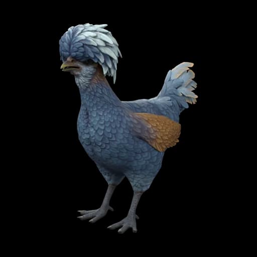 Pet Chicken | Polish (Blue) — ไก่โปลิชสีน้ำเงิน