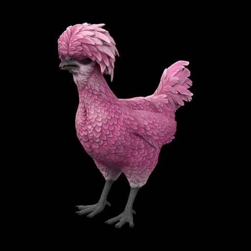 Pet Chicken | Polish (Pink) — ไก่โปลิชสีชมพู