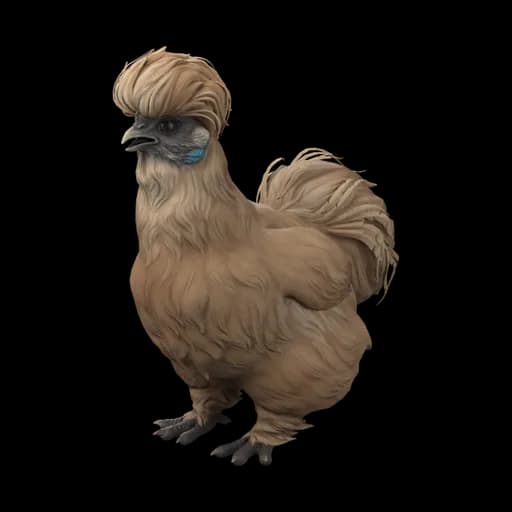 Pet Chicken | Silkie (Brown) — ไก่ซิลกี้สีน้ำตาล