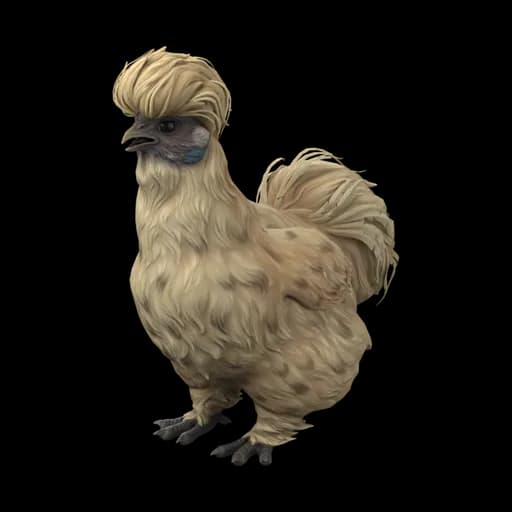 Pet Chicken | Silkie (Leopard) — ไก่ซิลกี้สีลายเสือดาว