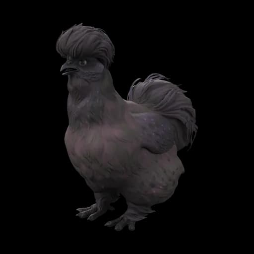 Pet Chicken | Silkie (Purple) — ไก่ซิลกี้สีม่วง