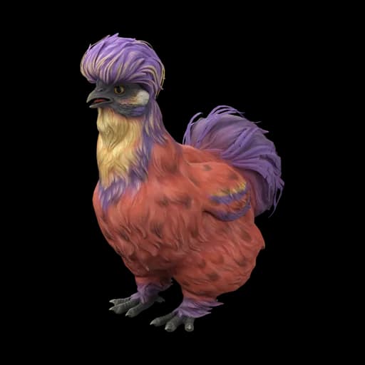 Pet Chicken | Silkie (Red Beetle) — ไก่ซิลกี้สีแดงแมลงทับ