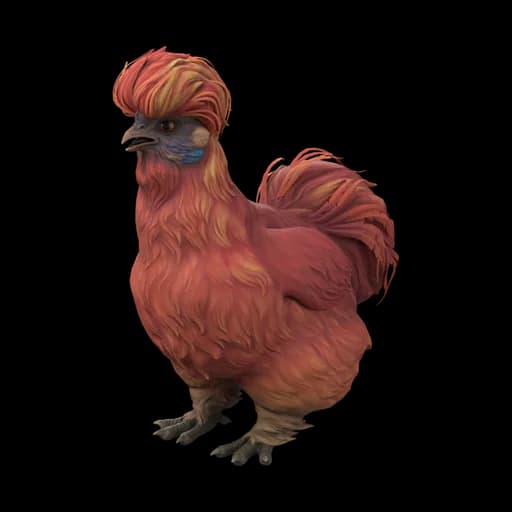 Pet Chicken | Silkie (Red) — ไก่ซิลกี้สีแดง