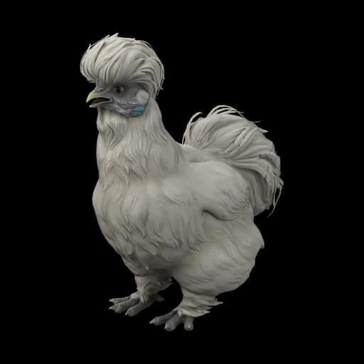 Pet Chicken | Silkie (White) — ไก่ซิลกี้สีขาว