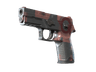 P250 | Constructivist