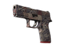 P250 | Facility Draft