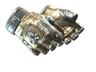 Bloodhound Gloves | Bronzed