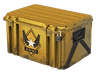Winter Offensive Weapon Case