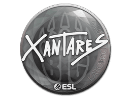Sticker Slab | XANTARES | Katowice 2019