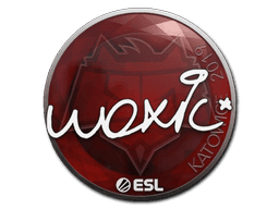 Sticker Slab | woxic | Katowice 2019