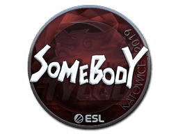 Sticker Slab | somebody (Foil) | Katowice 2019