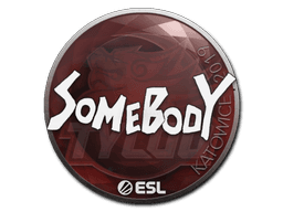 Sticker Slab | somebody | Katowice 2019