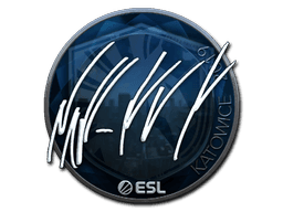 Sticker Slab | NAF (Foil) | Katowice 2019