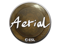 Sticker Slab | Aerial | Katowice 2019