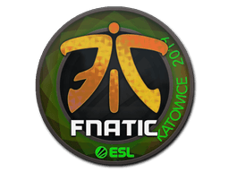 Sticker Slab | Fnatic (Holo) | Katowice 2019