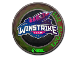 Sticker Slab | Winstrike Team (Holo) | Katowice 2019