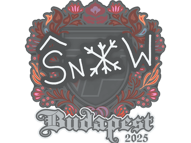 Sticker Slab | snow | Budapest 2025