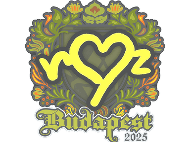 Sticker Slab | ropz | Budapest 2025