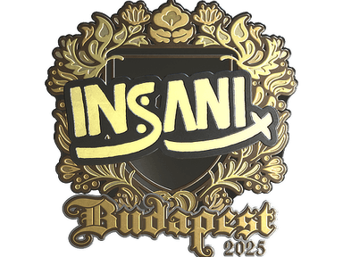 Sticker Slab | insani (Gold) | Budapest 2025
