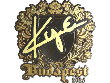 Sticker Slab | kye (Gold) | Budapest 2025