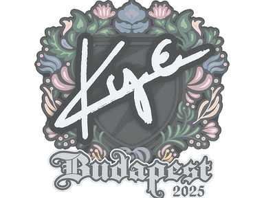Sticker Slab | kye | Budapest 2025