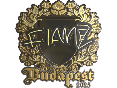 Sticker Slab | FlameZ (Gold) | Budapest 2025