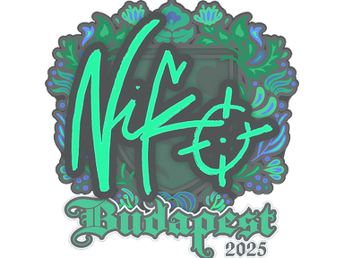 Sticker Slab | NiKo | Budapest 2025