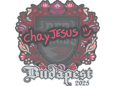 Sticker Slab | chayJESUS | Budapest 2025