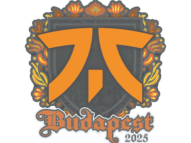 Sticker Slab | fnatic | Budapest 2025