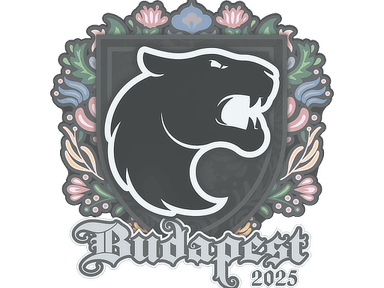 Sticker Slab | FURIA | Budapest 2025
