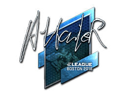 Sticker Slab | Attacker (Foil) | Boston 2018