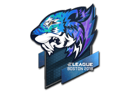 Sticker Slab | Flash Gaming (Holo) | Boston 2018