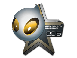 Sticker Slab | Team Dignitas | Cluj-Napoca 2015