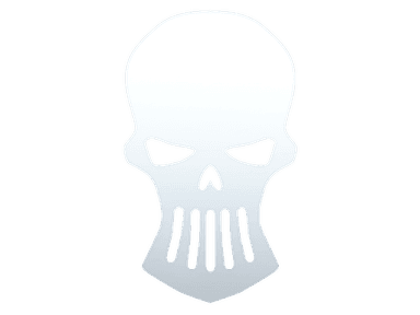Sticker Slab | Silver Skulls