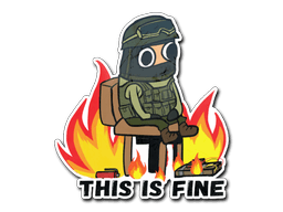Sticker Slab | This Is Fine (CT)