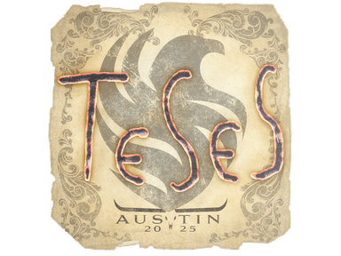 Sticker Slab | TeSeS | Austin 2025