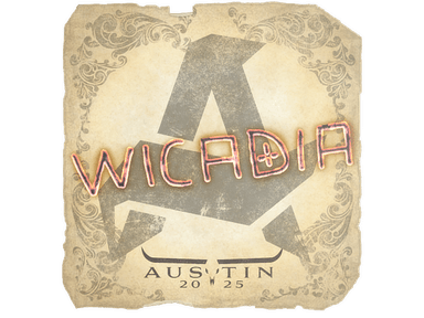 Sticker Slab | Wicadia | Austin 2025