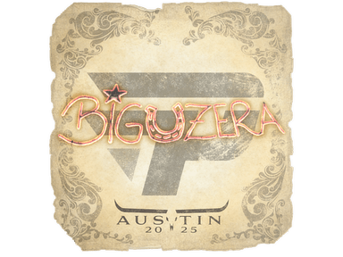 Sticker Slab | biguzera | Austin 2025