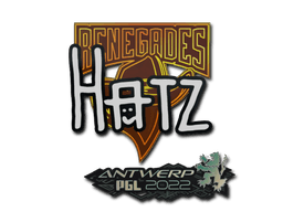 Sticker Slab | hatz | Antwerp 2022