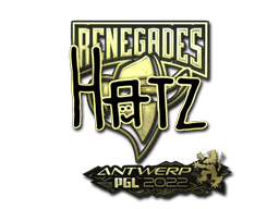 Sticker Slab | hatz (Gold) | Antwerp 2022