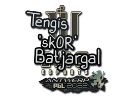 Sticker Slab | sk0R | Antwerp 2022
