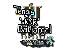 Sticker Slab | sk0R (Glitter) | Antwerp 2022