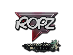 Sticker Slab | ropz | Antwerp 2022