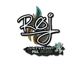 Sticker Slab | roeJ (Glitter) | Antwerp 2022
