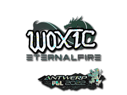 Sticker Slab | woxic (Glitter) | Antwerp 2022